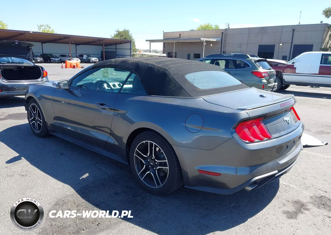 2018 Ford Mustang Ecoboost Premium VIN:1FATP8UHXJ5155107 - 3