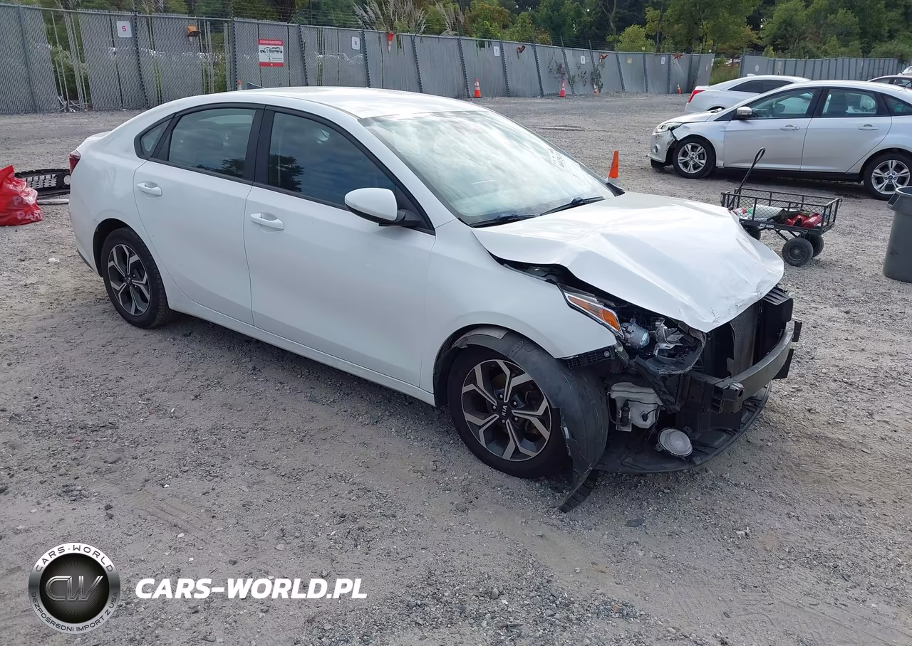 2019 Kia Forte Lxs
