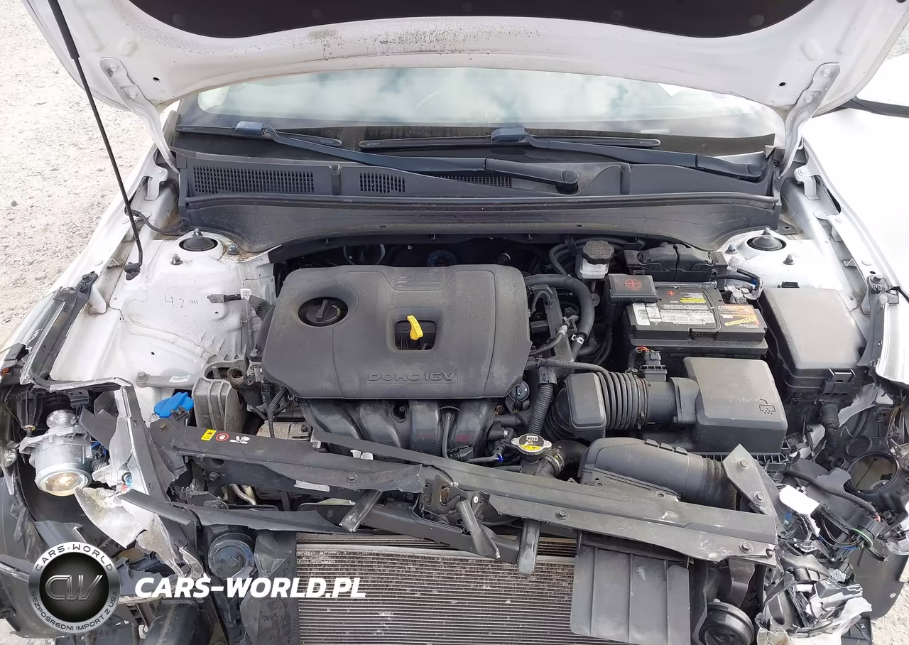 2019 Kia Forte Lxs VIN:3KPF24AD0KE036925 - 10