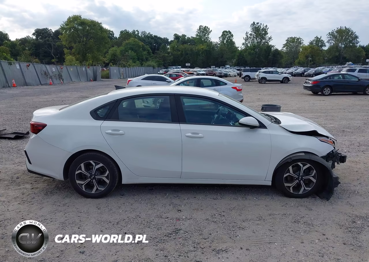 2019 Kia Forte Lxs VIN:3KPF24AD0KE036925 - 14