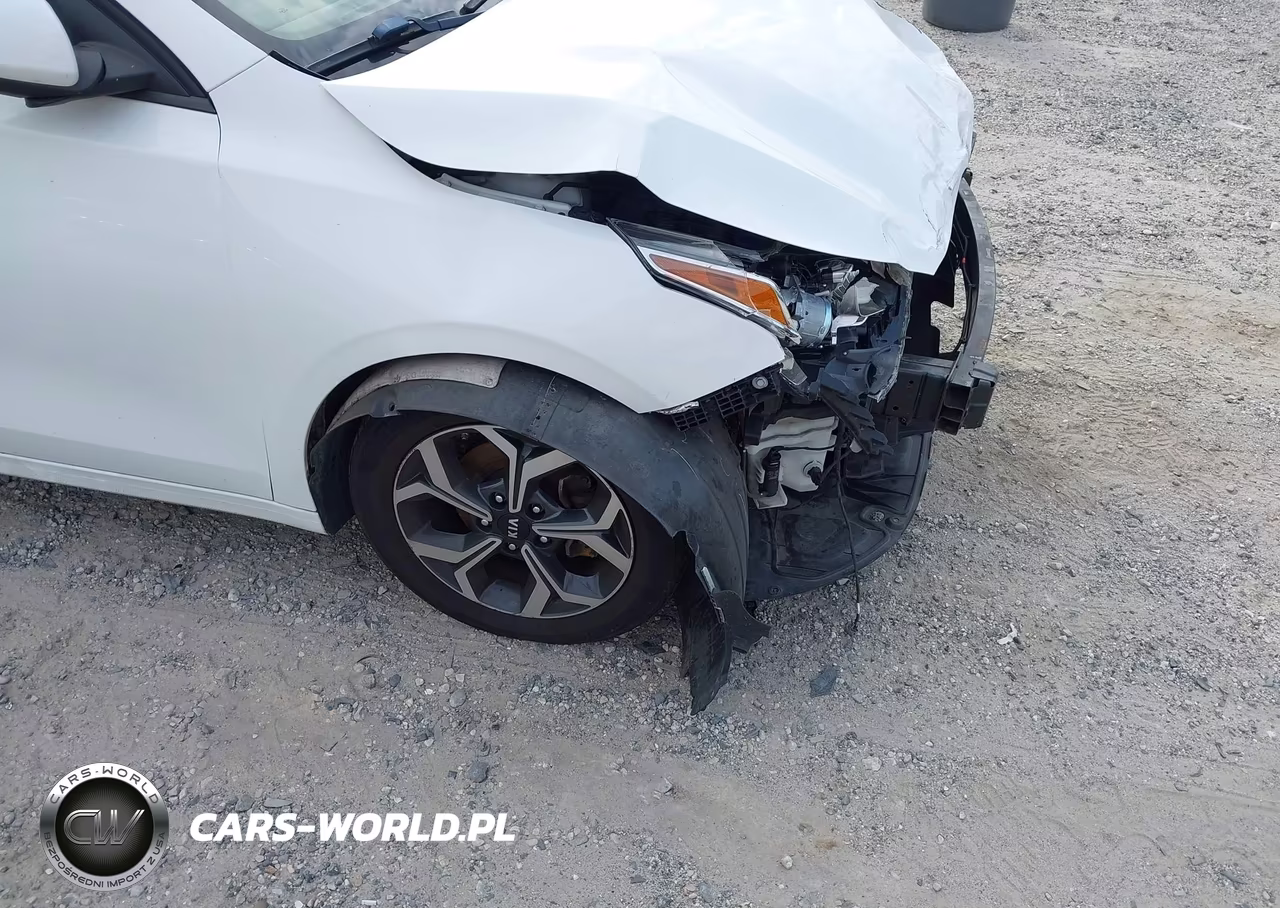 2019 Kia Forte Lxs VIN:3KPF24AD0KE036925 - 6