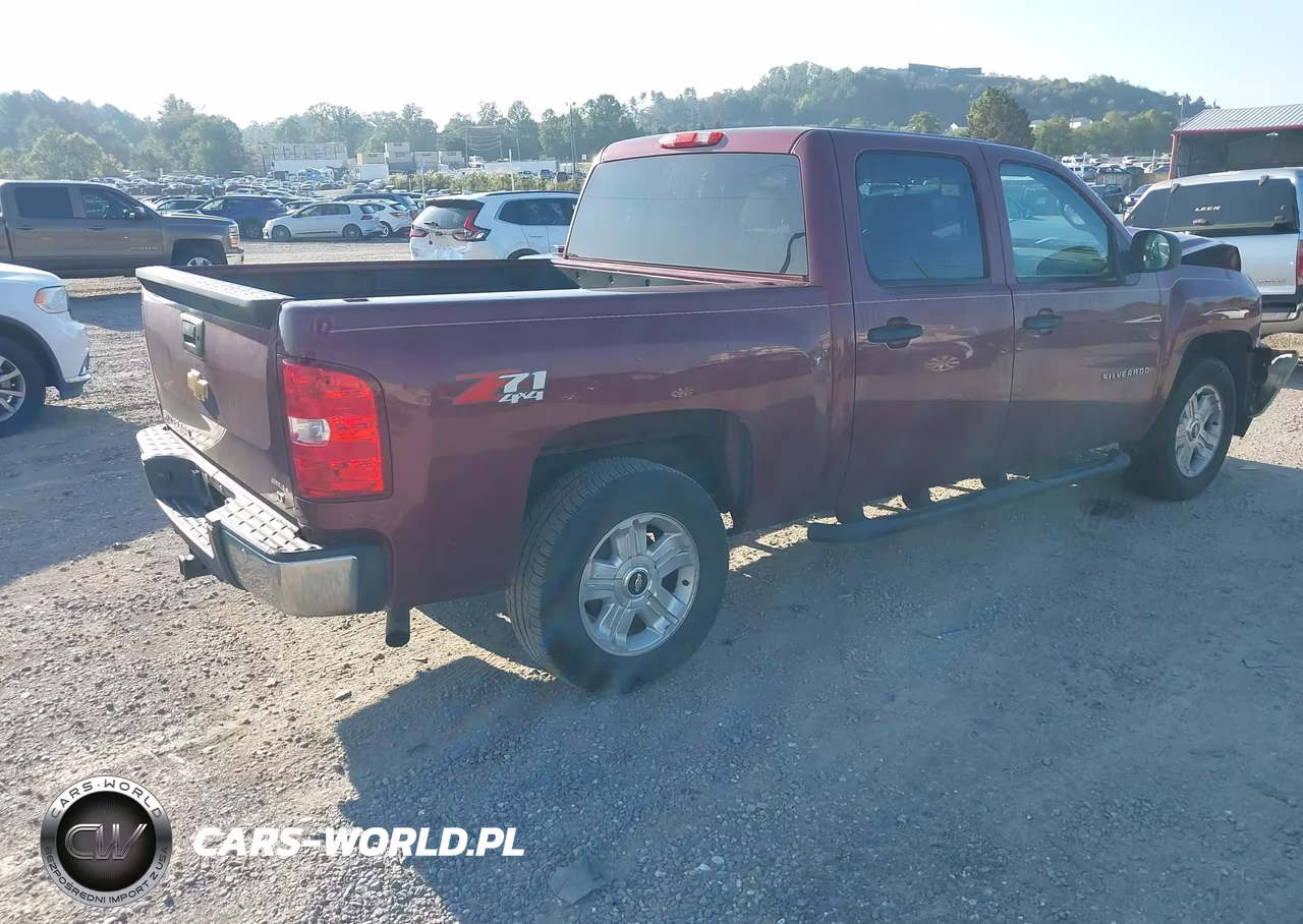 2013 Chevrolet Silverado 1500 Lt VIN:3GCPKSE73DG282517 - 4