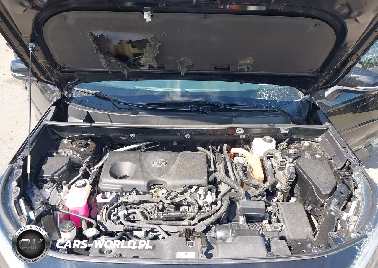 2024 Toyota Rav4 Hybrid Xle VIN:2T3RWRFV3RW199227 - 10