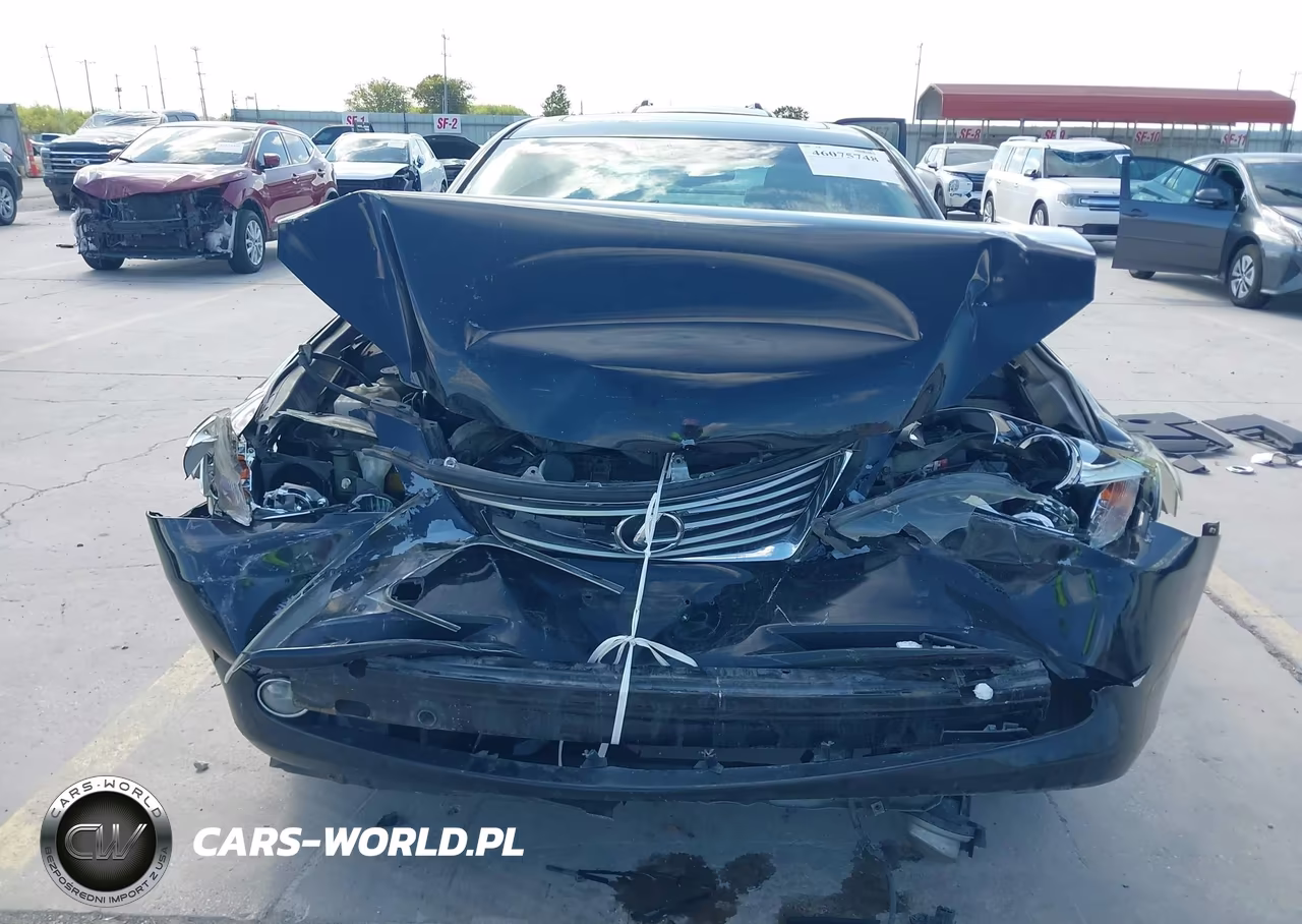 2009 Lexus Es 350 VIN:JTHBJ46G992290255 - 13