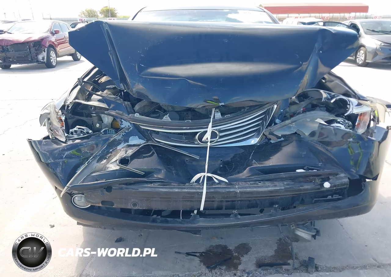 2009 Lexus Es 350 VIN:JTHBJ46G992290255 - 6