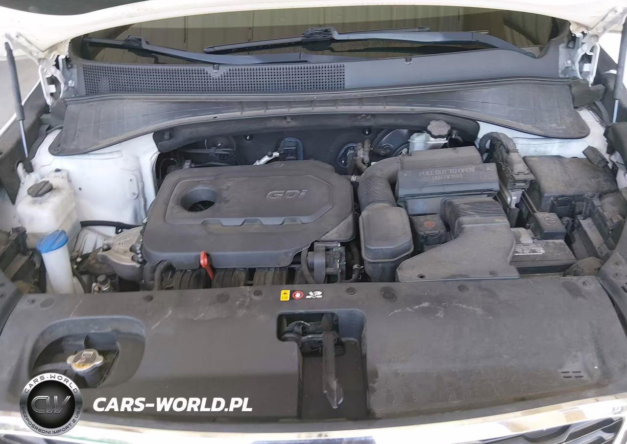 2019 Kia Sorento 2.4L Lx VIN:5XYPG4A38KG442872 - 10