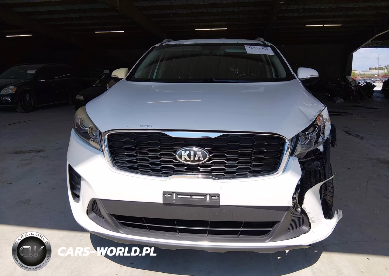 2019 Kia Sorento 2.4L Lx VIN:5XYPG4A38KG442872 - 12