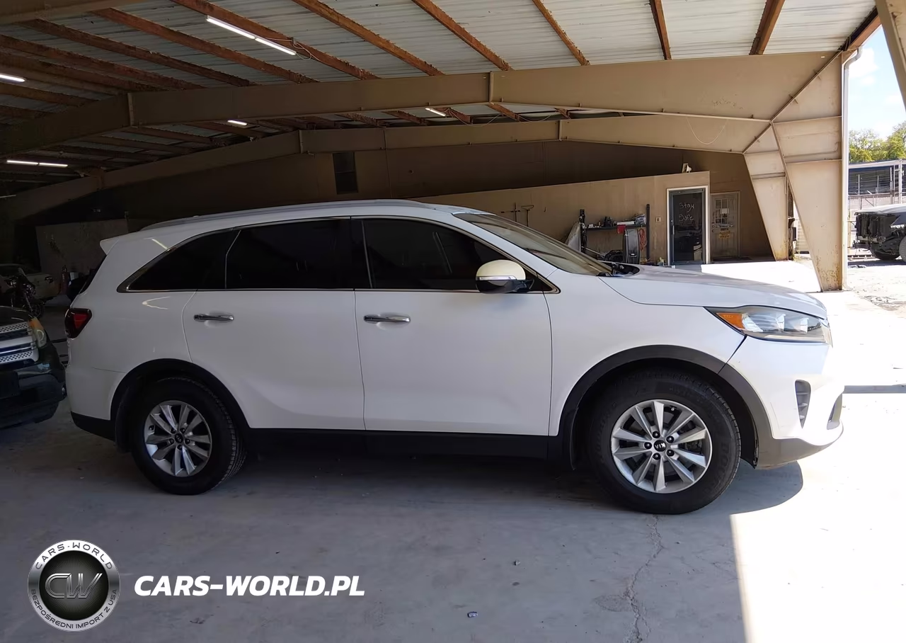 2019 Kia Sorento 2.4L Lx VIN:5XYPG4A38KG442872 - 13