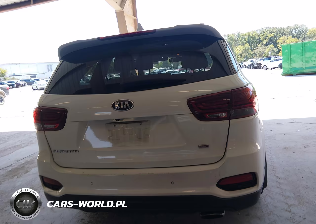 2019 Kia Sorento 2.4L Lx VIN:5XYPG4A38KG442872 - 16