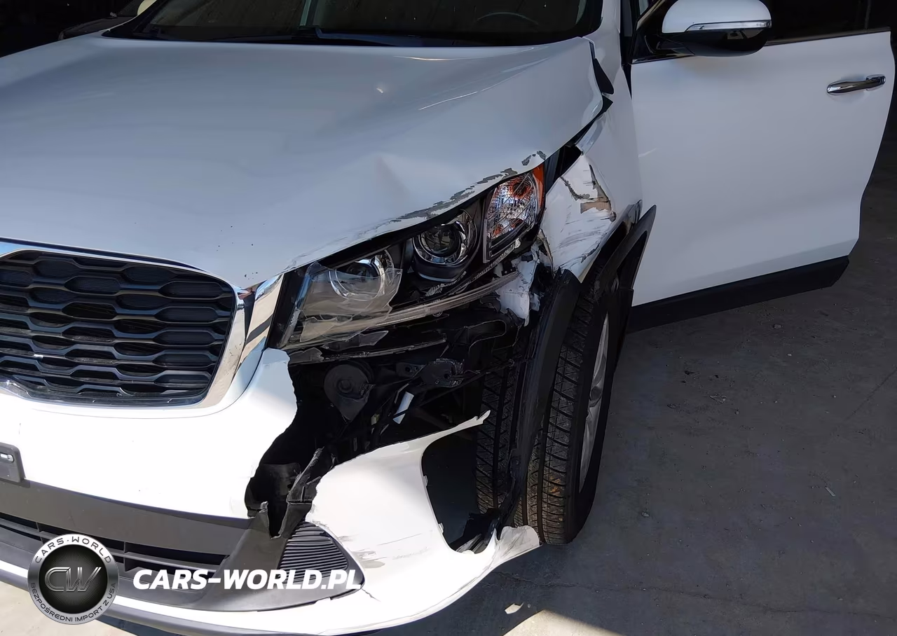 2019 Kia Sorento 2.4L Lx VIN:5XYPG4A38KG442872 - 17