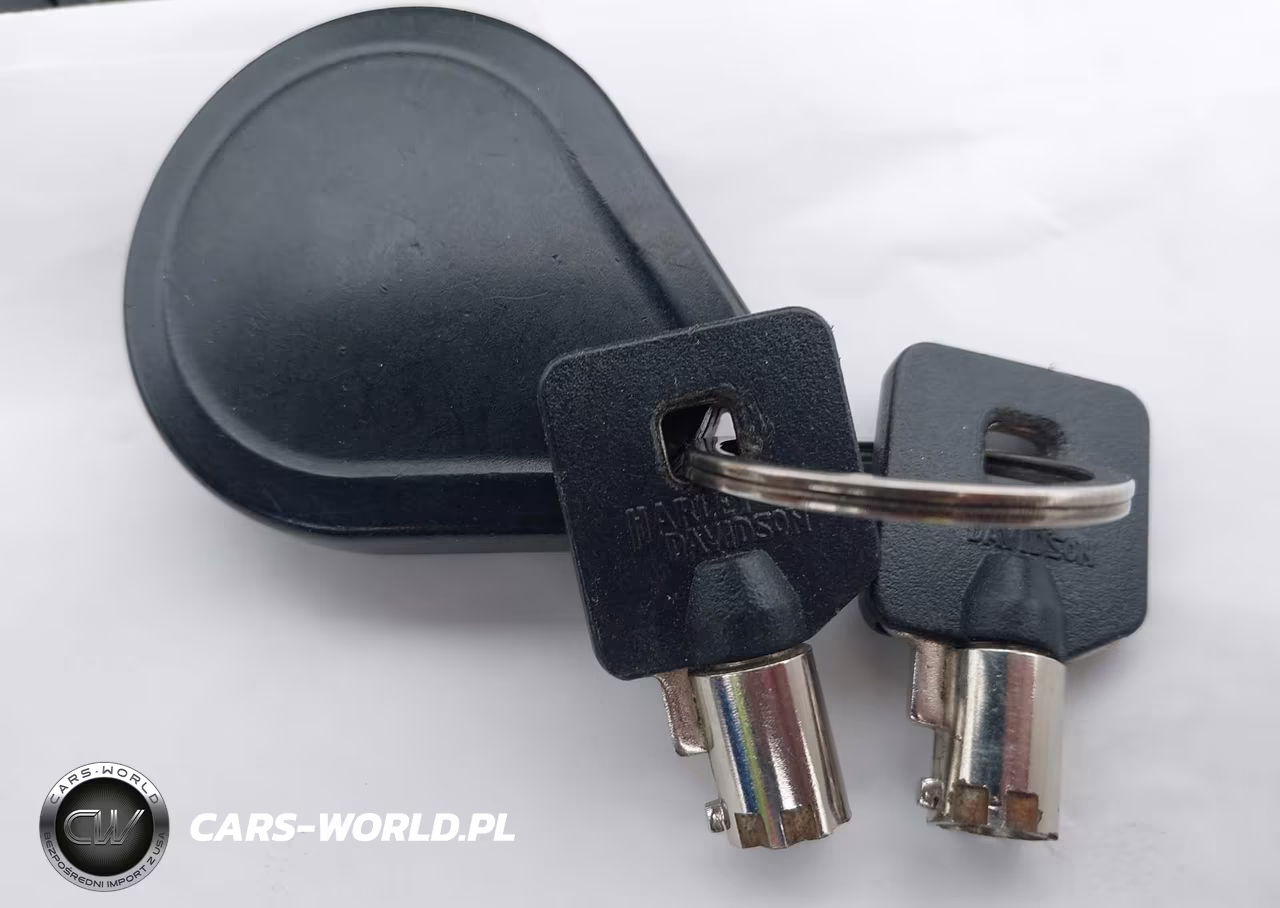2020 Harley-Davidson Fltrxs VIN:1HD1KTP19LB662827 - 11