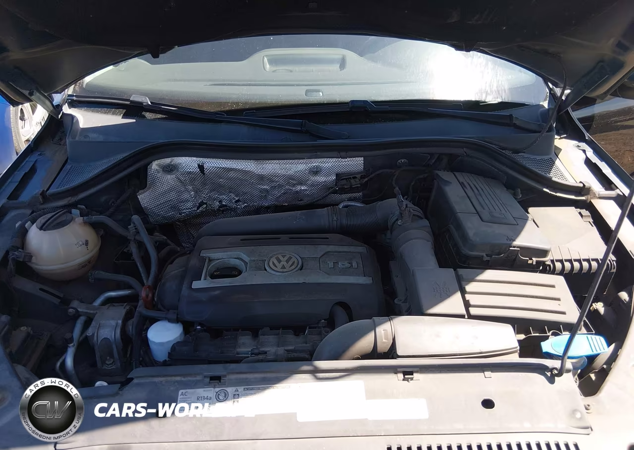 2012 Volkswagen Tiguan Le VIN:WVGAV7AX3CW555631 - 10