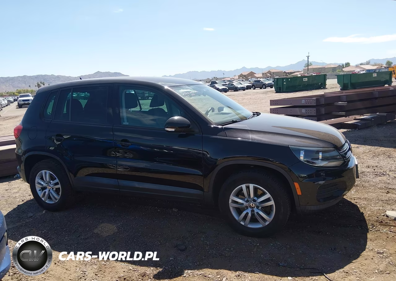 2012 Volkswagen Tiguan Le VIN:WVGAV7AX3CW555631 - 12