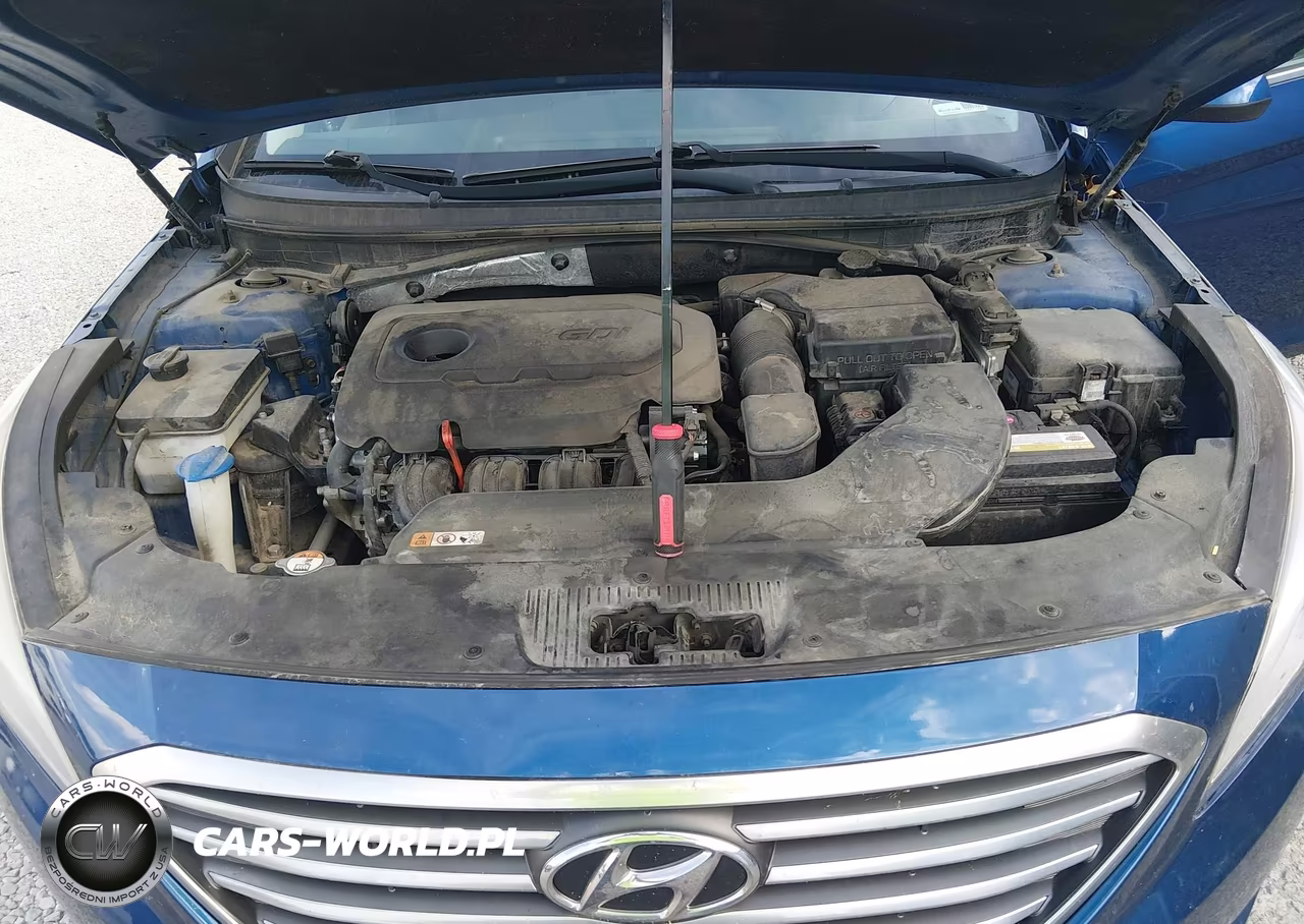 2016 Hyundai Sonata Se VIN:5NPE24AF3GH334675 - 10