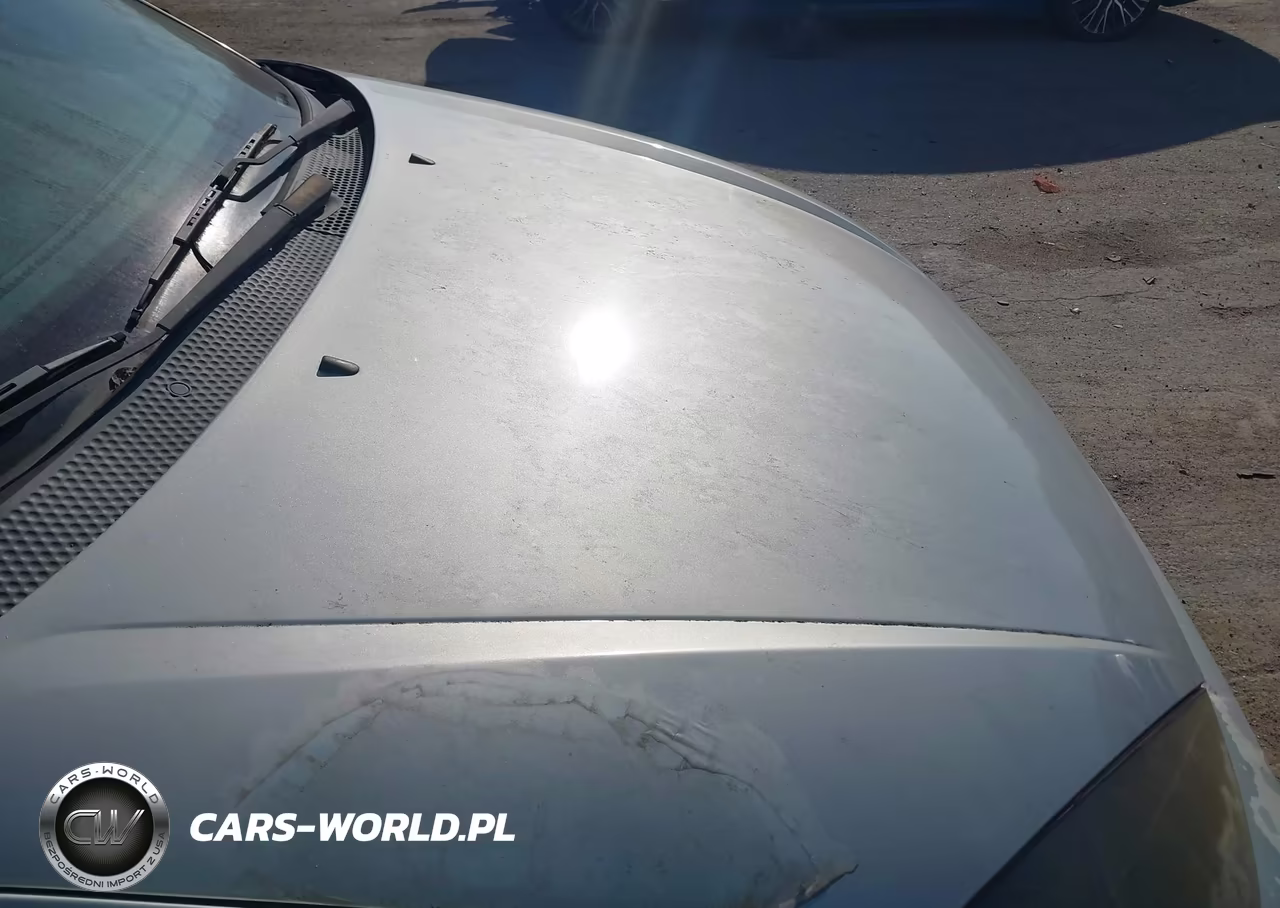 2002 Ford Focus Svt VIN:3FAHP39562R199496 - 6