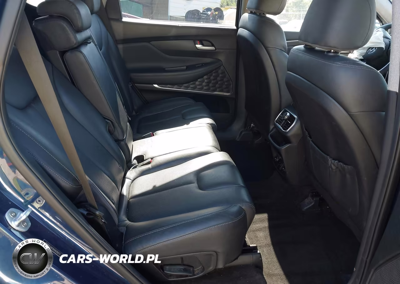 2019 Hyundai Santa Fe Ultimate VIN:5NMS53AD2KH035073 - 8