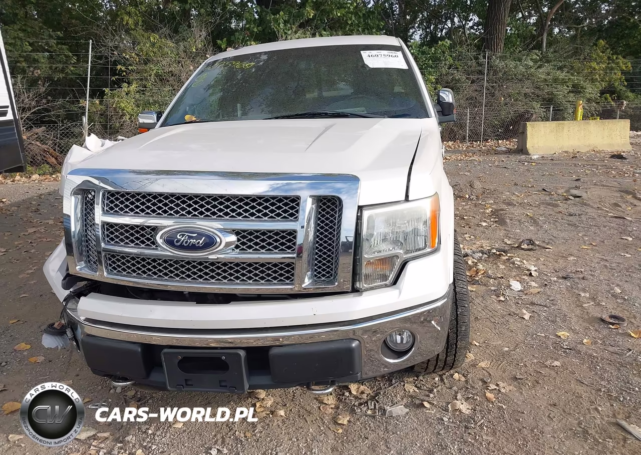 2010 Ford F-150 Fx4-Harley-Davidson-King Ranch-Lariat-Platinum-Xl-Xlt VIN:1FTFW1EV4AKA21703 - 12