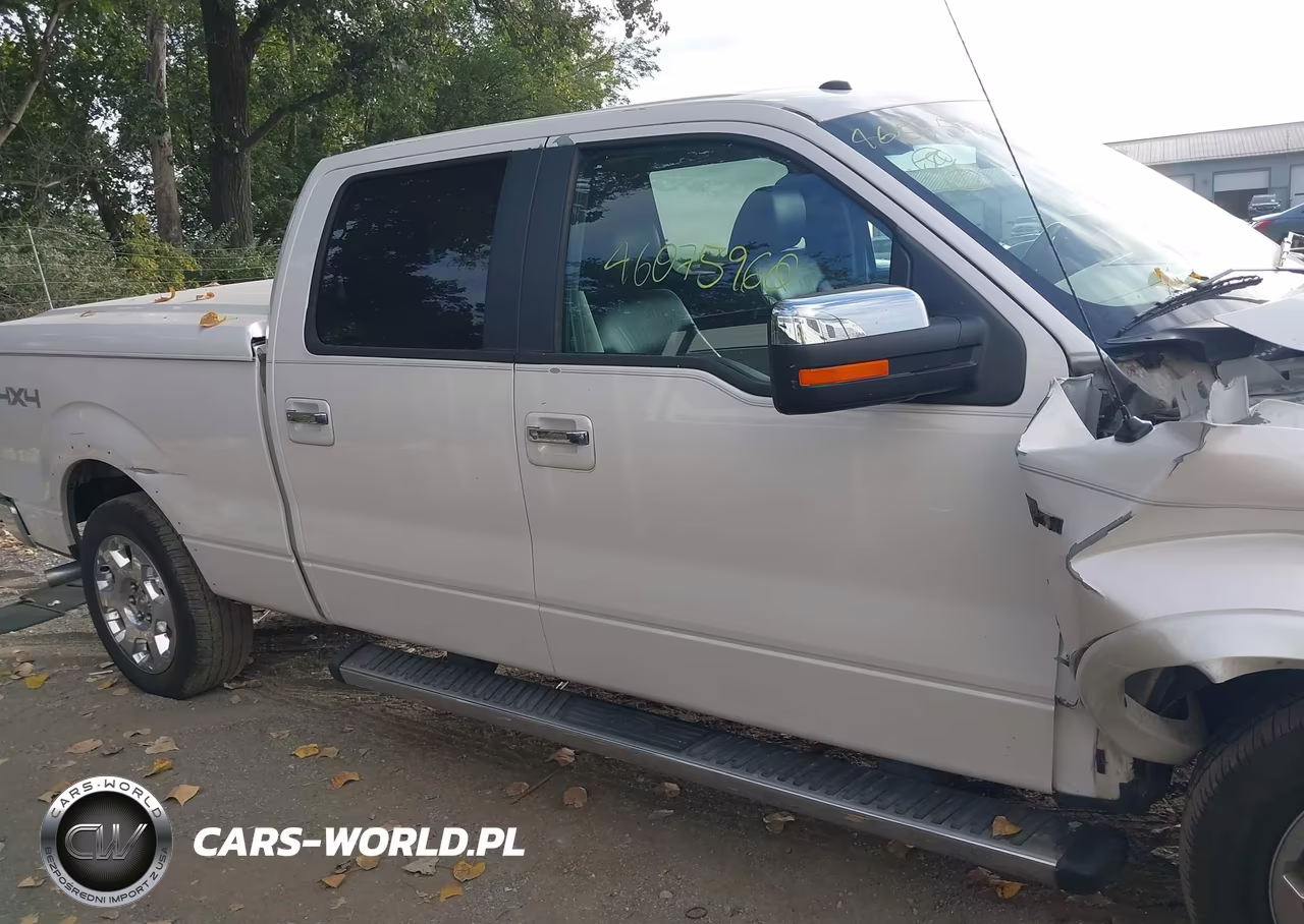 2010 Ford F-150 Fx4-Harley-Davidson-King Ranch-Lariat-Platinum-Xl-Xlt VIN:1FTFW1EV4AKA21703 - 13