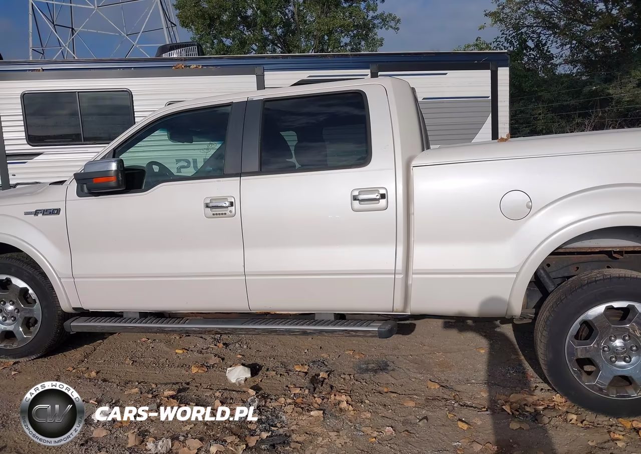 2010 Ford F-150 Fx4-Harley-Davidson-King Ranch-Lariat-Platinum-Xl-Xlt VIN:1FTFW1EV4AKA21703 - 14
