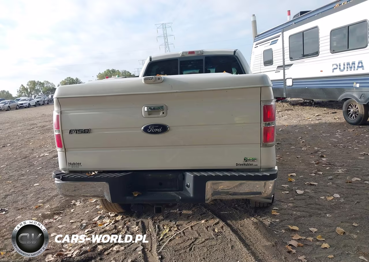 2010 Ford F-150 Fx4-Harley-Davidson-King Ranch-Lariat-Platinum-Xl-Xlt VIN:1FTFW1EV4AKA21703 - 16