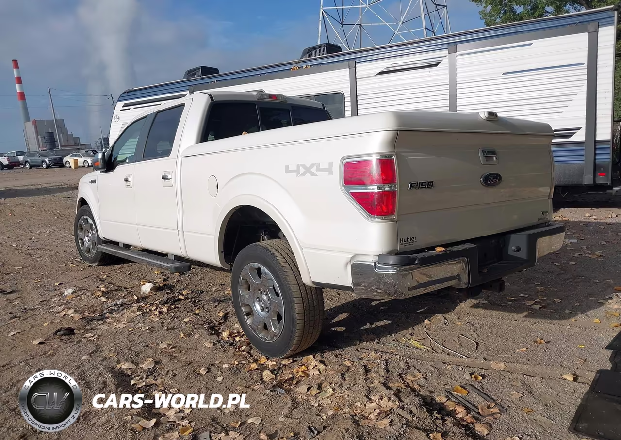 2010 Ford F-150 Fx4-Harley-Davidson-King Ranch-Lariat-Platinum-Xl-Xlt VIN:1FTFW1EV4AKA21703 - 3
