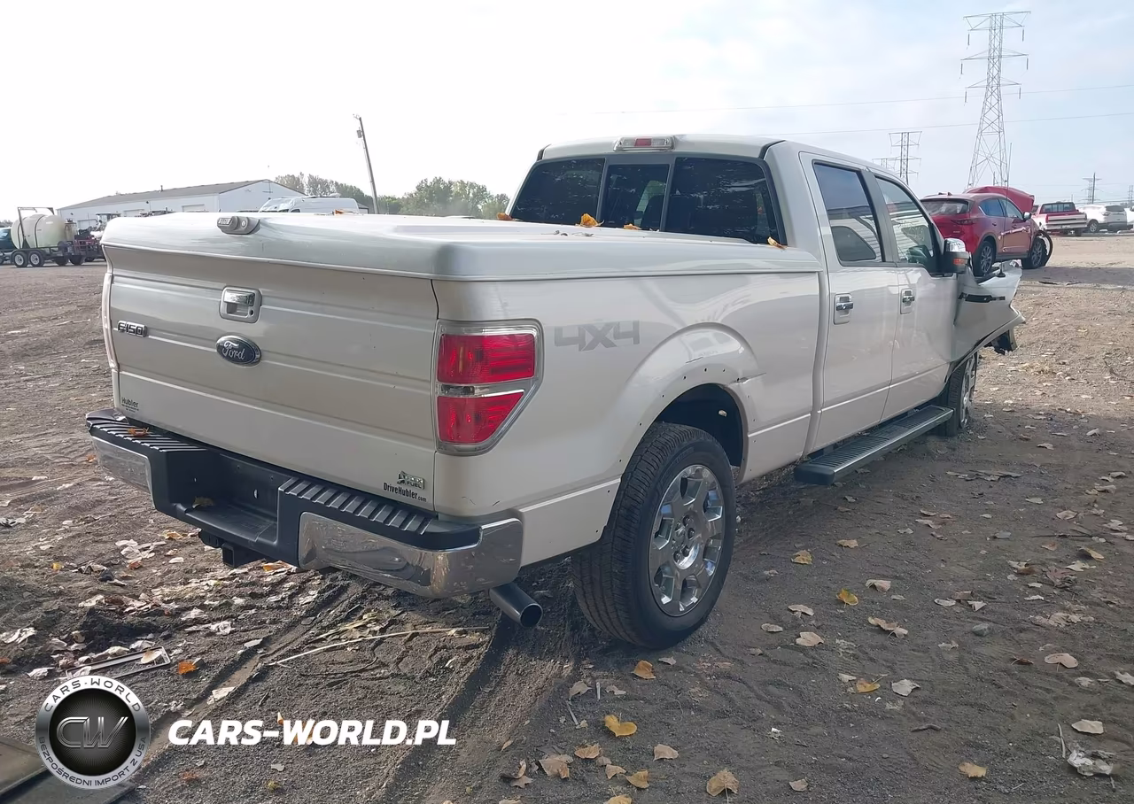 2010 Ford F-150 Fx4-Harley-Davidson-King Ranch-Lariat-Platinum-Xl-Xlt VIN:1FTFW1EV4AKA21703 - 4