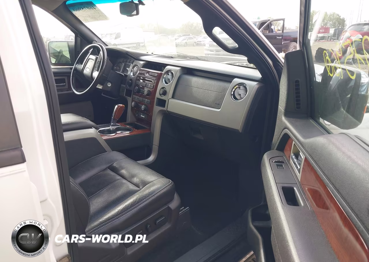2010 Ford F-150 Fx4-Harley-Davidson-King Ranch-Lariat-Platinum-Xl-Xlt VIN:1FTFW1EV4AKA21703 - 5