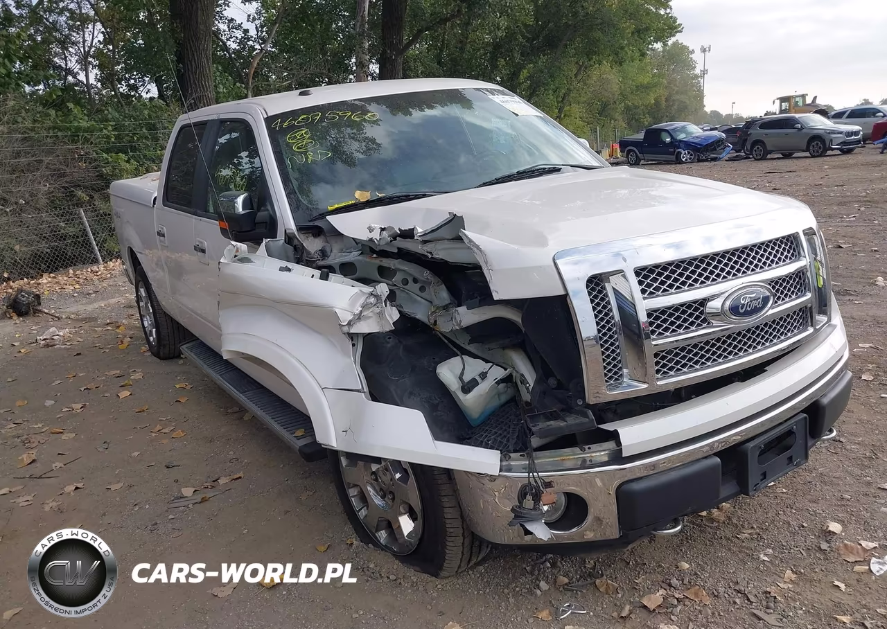 2010 Ford F-150 Fx4-Harley-Davidson-King Ranch-Lariat-Platinum-Xl-Xlt VIN:1FTFW1EV4AKA21703 - 6