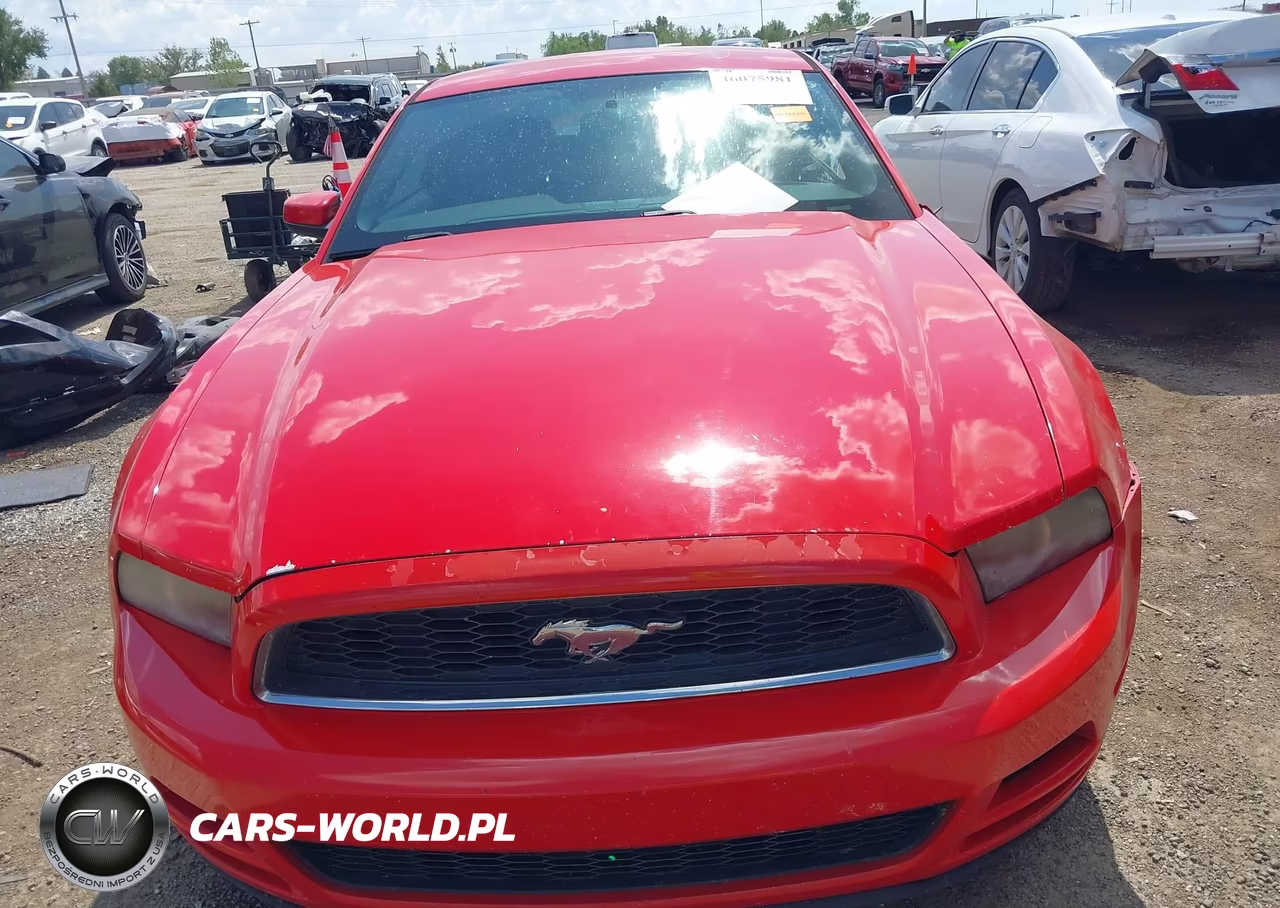 2013 Ford Mustang V6 Premium VIN:1ZVBP8AM5D5205145 - 12