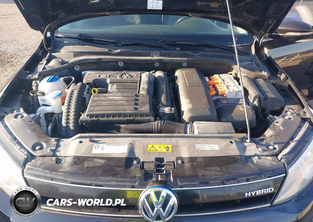 2014 Volkswagen Jetta Hybrid Sel Premium VIN:3VW637AJ9EM207666 - 10