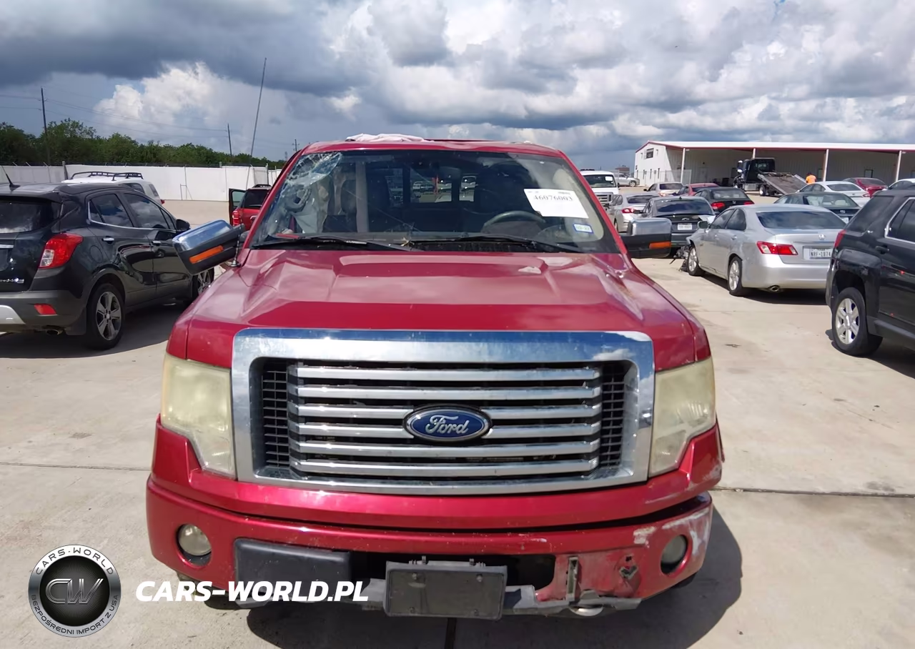 2010 Ford F-150 Fx4-Harley-Davidson-King Ranch-Lariat-Platinum-Xl-Xlt VIN:1FTFW1EVXAFA31516 - 12