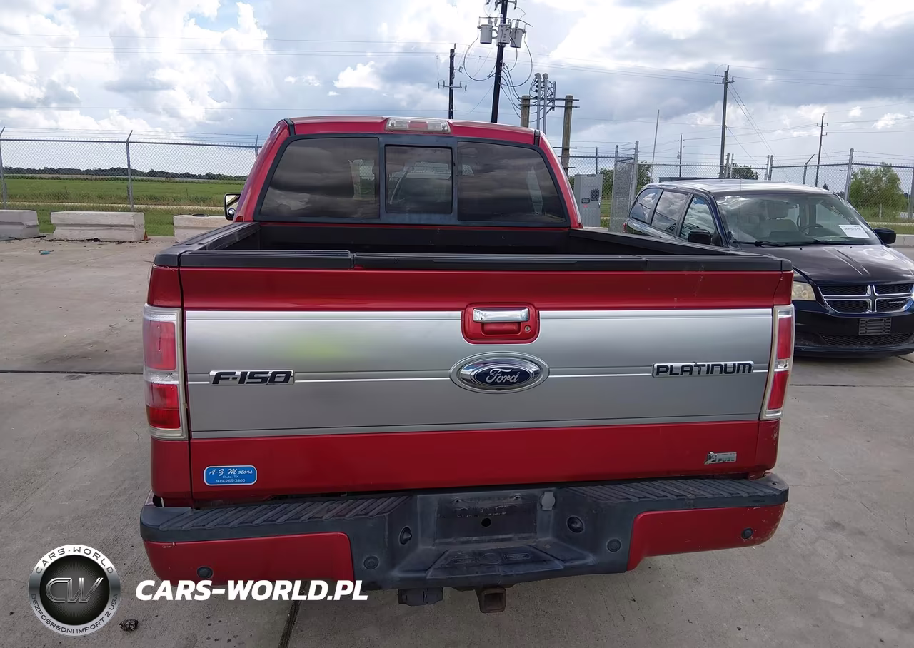 2010 Ford F-150 Fx4-Harley-Davidson-King Ranch-Lariat-Platinum-Xl-Xlt VIN:1FTFW1EVXAFA31516 - 16