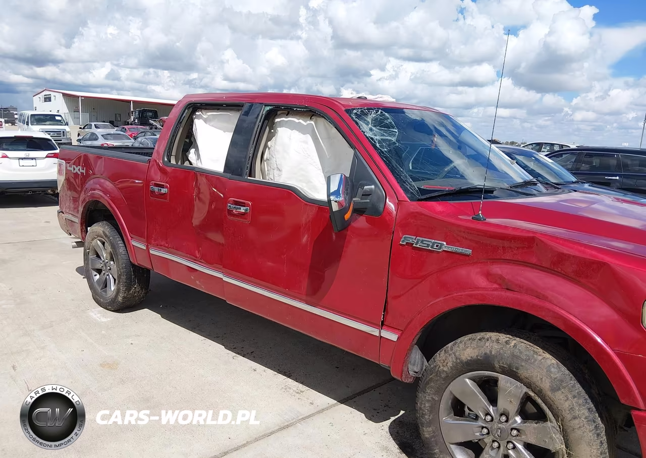 2010 Ford F-150 Fx4-Harley-Davidson-King Ranch-Lariat-Platinum-Xl-Xlt VIN:1FTFW1EVXAFA31516 - 6