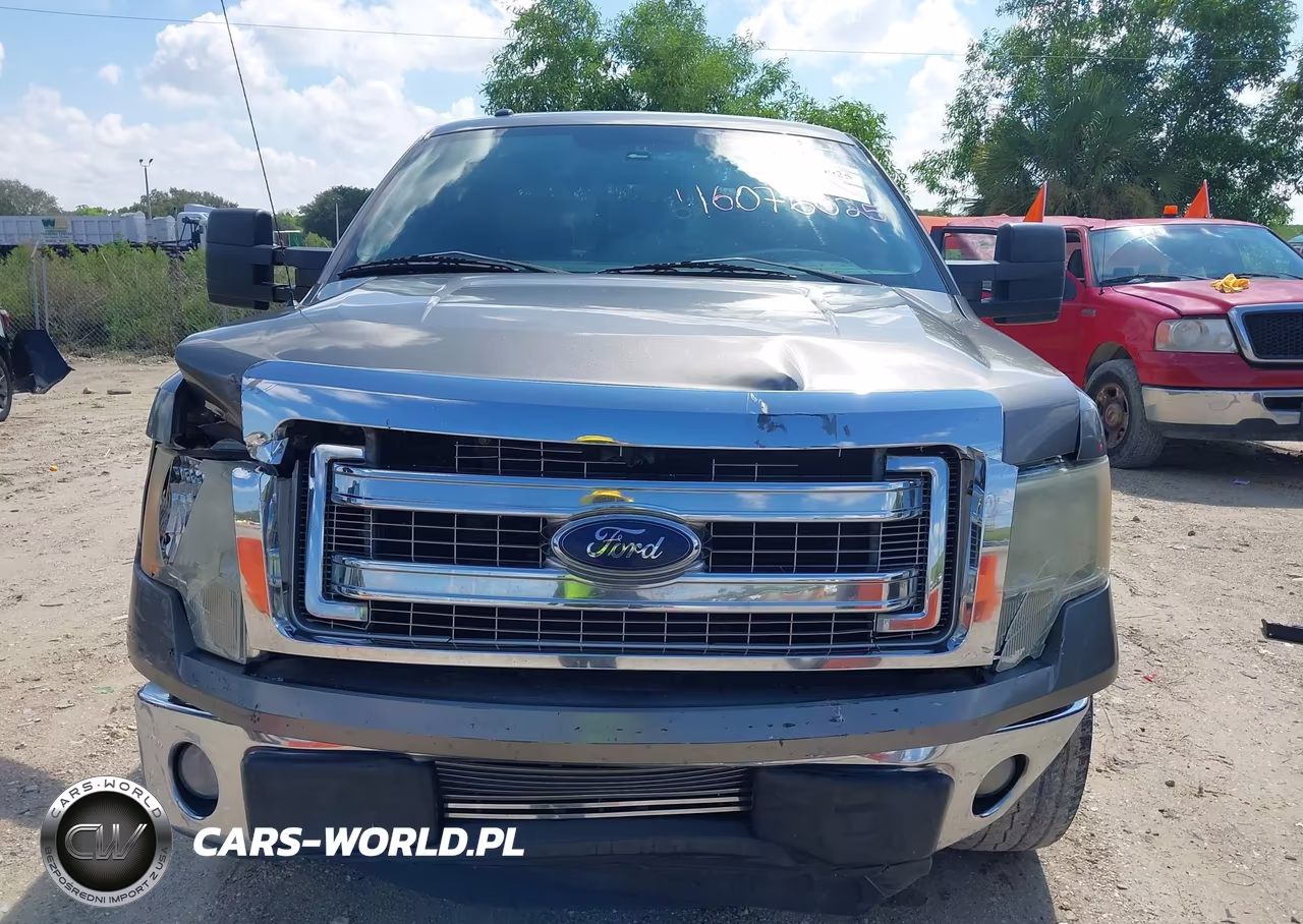 2013 Ford F-150 Xlt VIN:1FTFW1CT9DFA11537 - 12