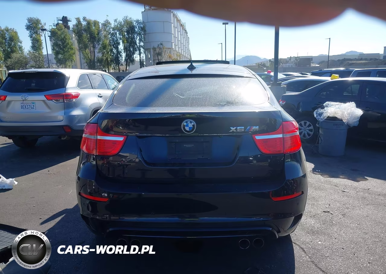 2012 BMW X6 M VIN:5YMGZ0C58CLK14613 - 17