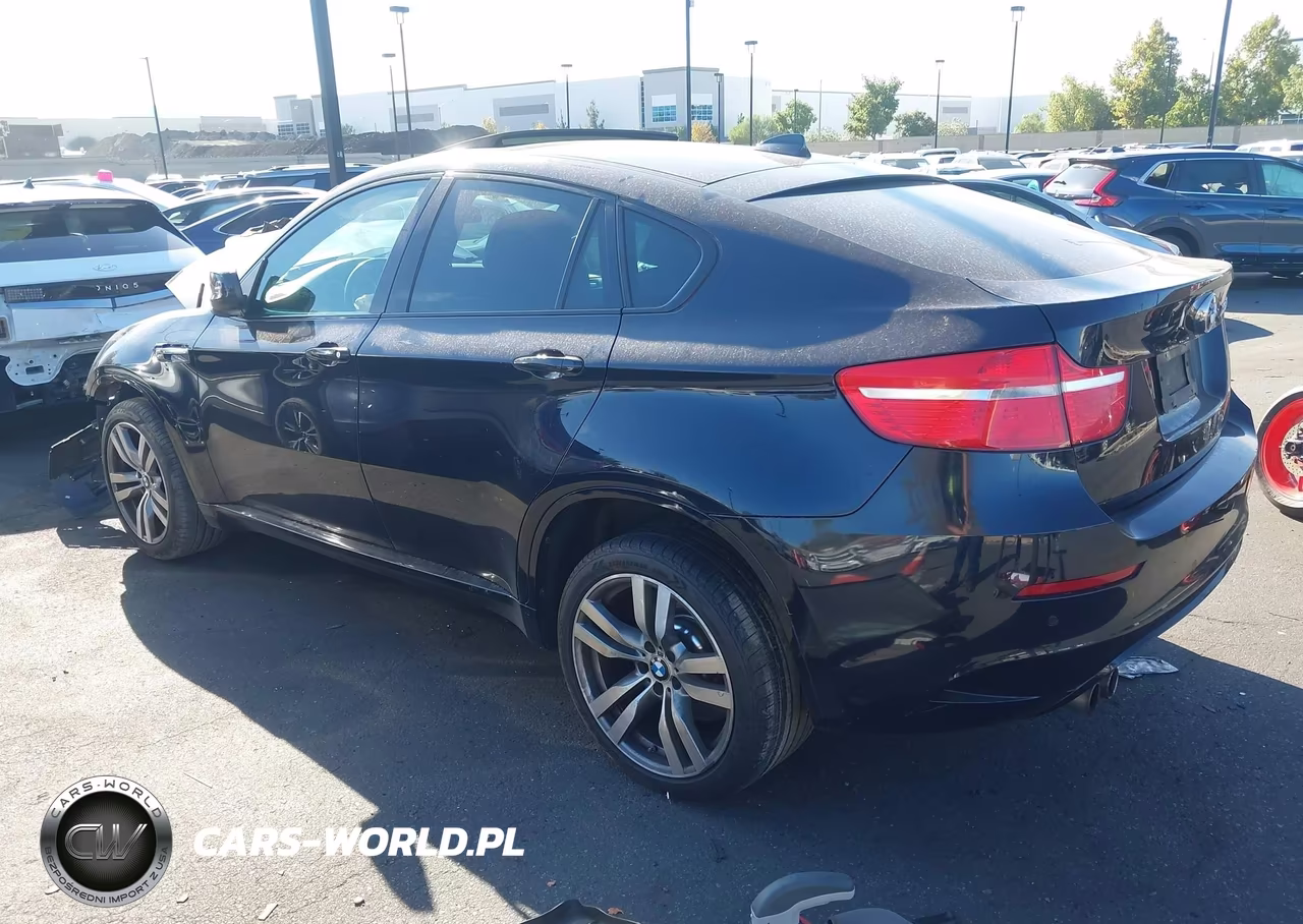 2012 BMW X6 M VIN:5YMGZ0C58CLK14613 - 3
