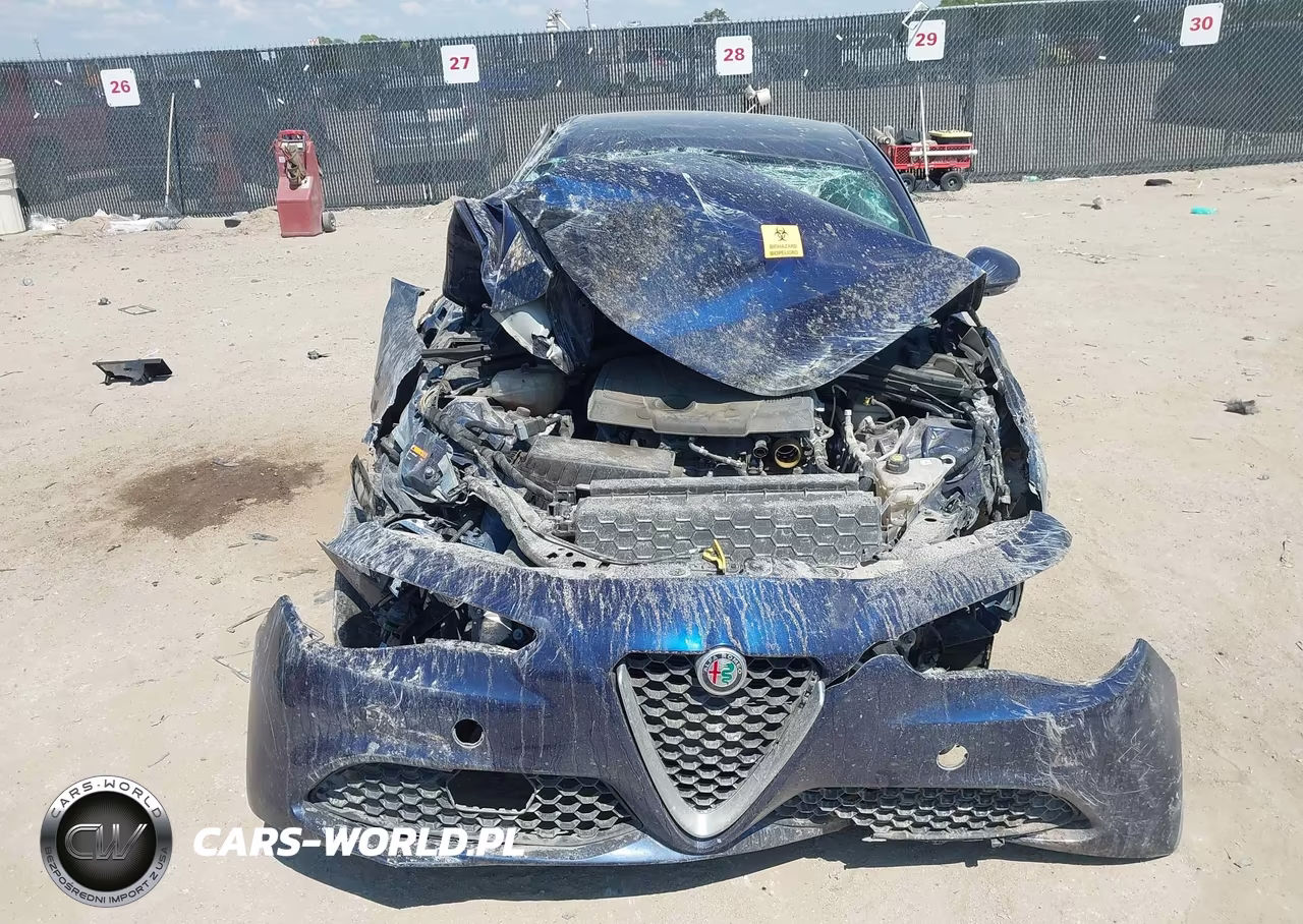 2019 Alfa Romeo Giulia Awd VIN:ZARFANAN9K7598880 - 12