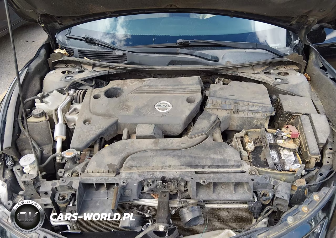 2015 Nissan Altima 2.5 Sl VIN:1N4AL3AP0FN377194 - 10