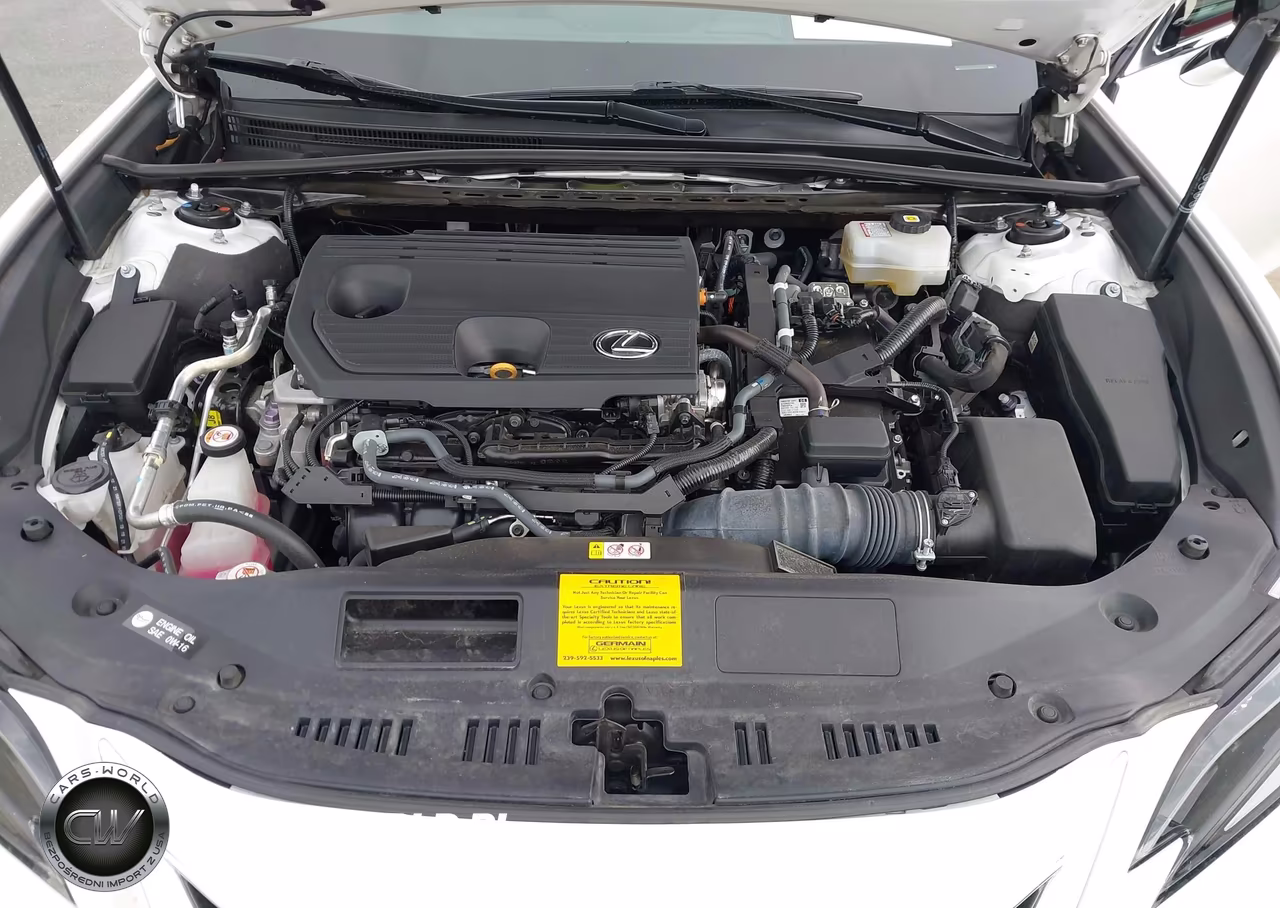 2022 Lexus Es 300H Ultra Luxury VIN:58AFA1C18NU026562 - 10