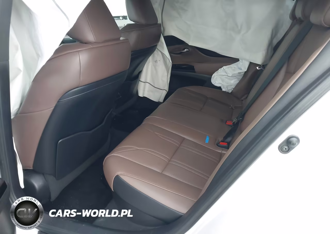 2022 Lexus Es 300H Ultra Luxury VIN:58AFA1C18NU026562 - 8