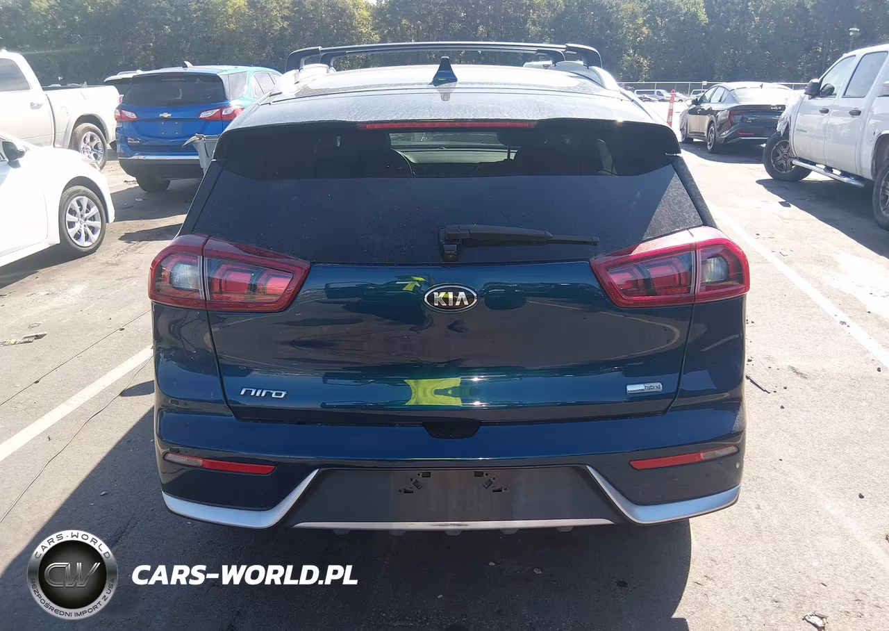 2019 Kia Niro Lx VIN:KNDCB3LC4K5338845 - 17