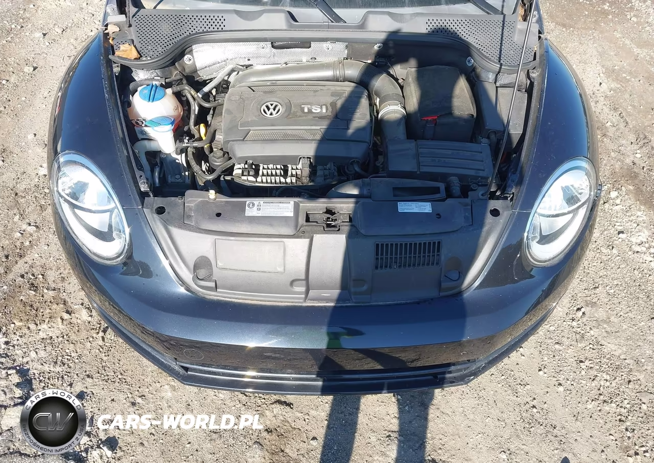 2016 Volkswagen Beetle 1.8T Classic VIN:3VWF17AT7GM638176 - 10