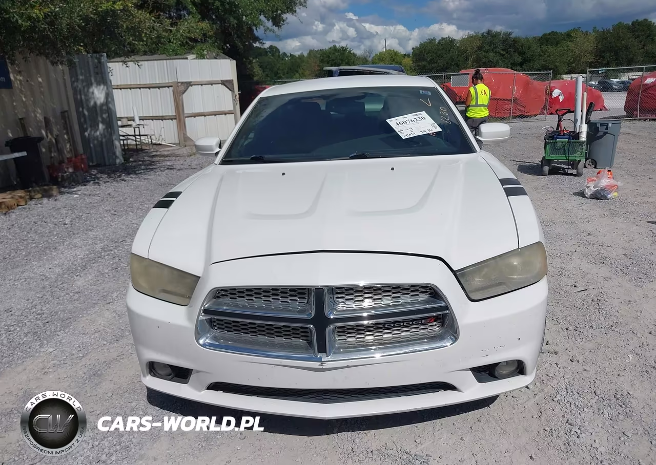 2013 Dodge Charger Sxt VIN:2C3CDXHG3DH557633 - 12