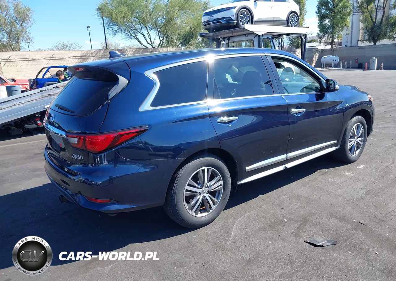 2020 Infiniti Qx60 Pure VIN:5N1DL0MN9LC529055 - 4