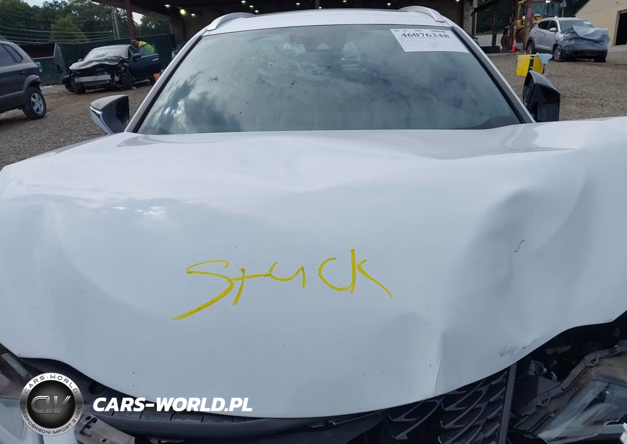 2022 Lexus Ux 250H F Sport VIN:JTHR9JBH1N2057078 - 10