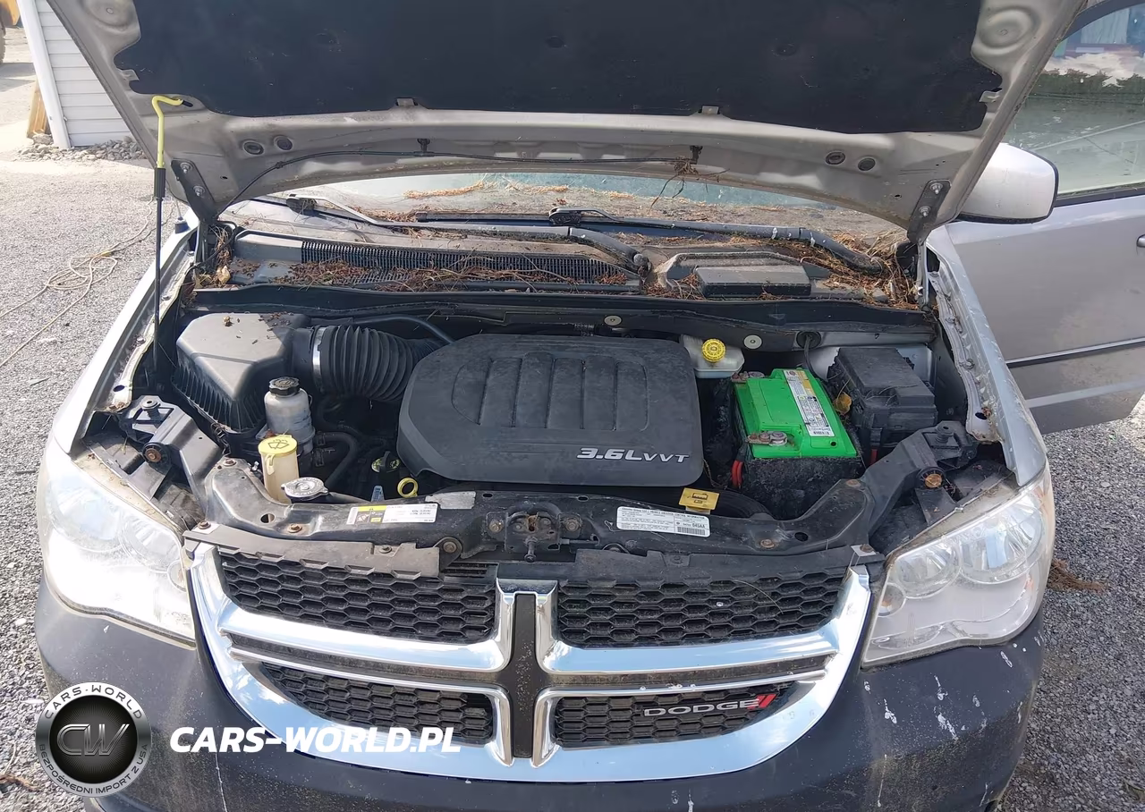 2013 Dodge Grand Caravan Sxt VIN:2C4RDGCG2DR613326 - 10