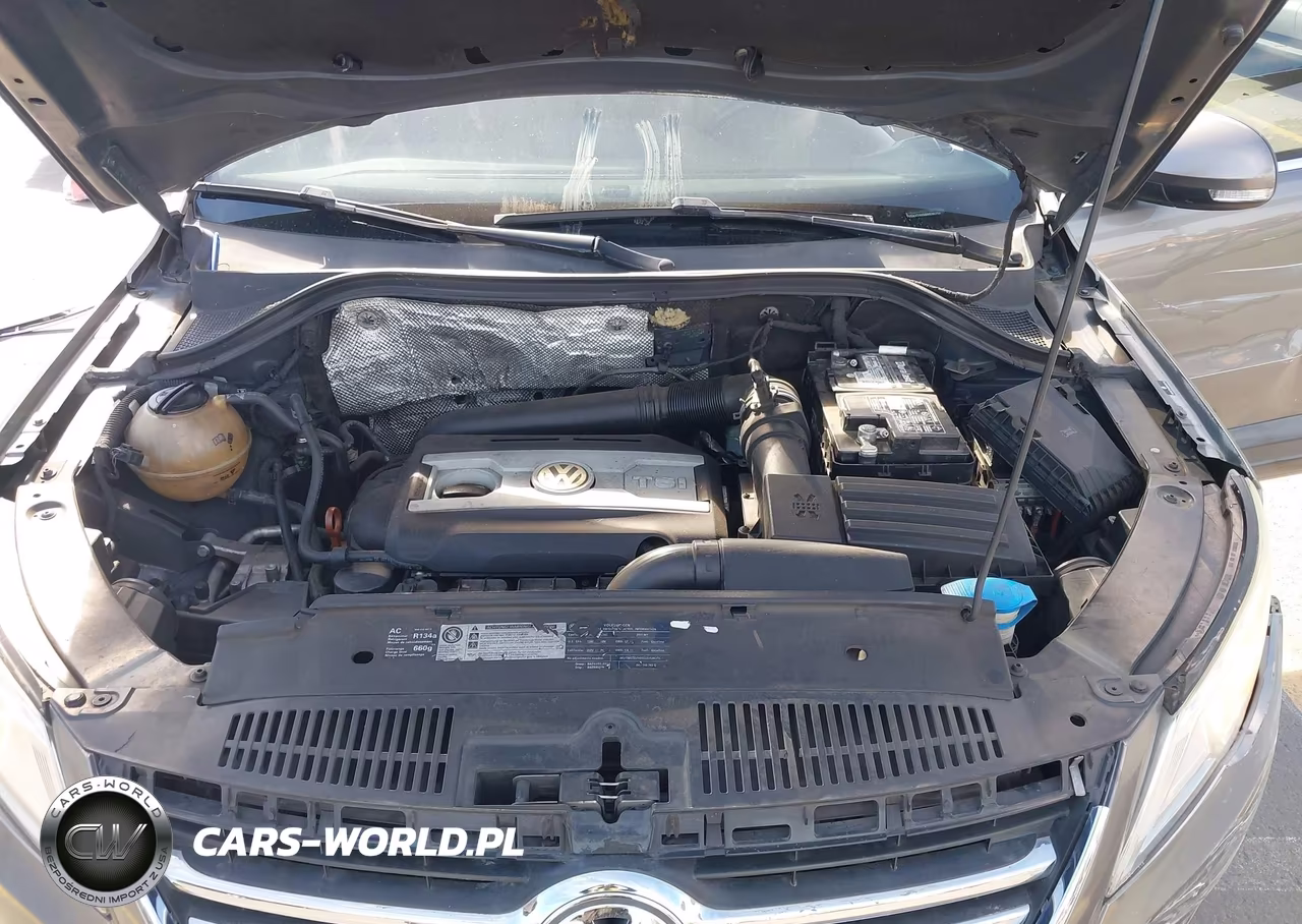 2011 Volkswagen Tiguan Se VIN:WVGAV7AX5BW535234 - 10