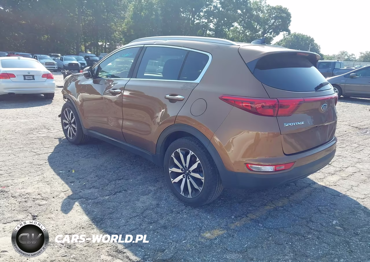 2017 Kia Sportage Ex VIN:KNDPN3AC0H7260685 - 3
