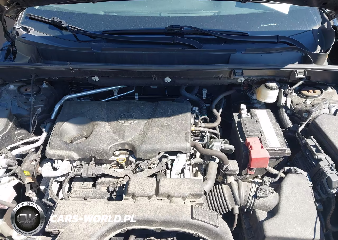 2019 Toyota Rav4 Xle VIN:2T3P1RFV7KC045939 - 10
