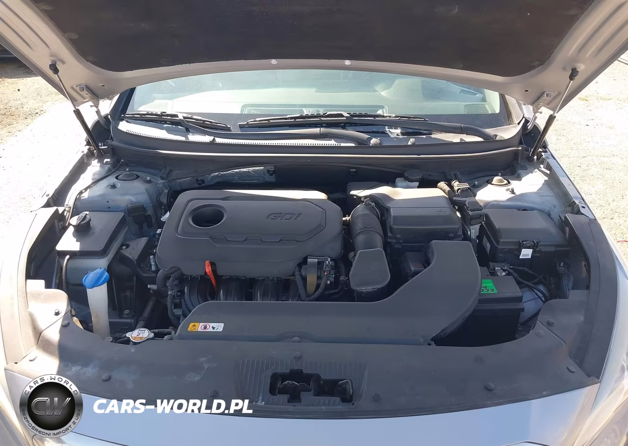 2017 Hyundai Sonata Sport VIN:5NPE34AF2HH547616 - 10